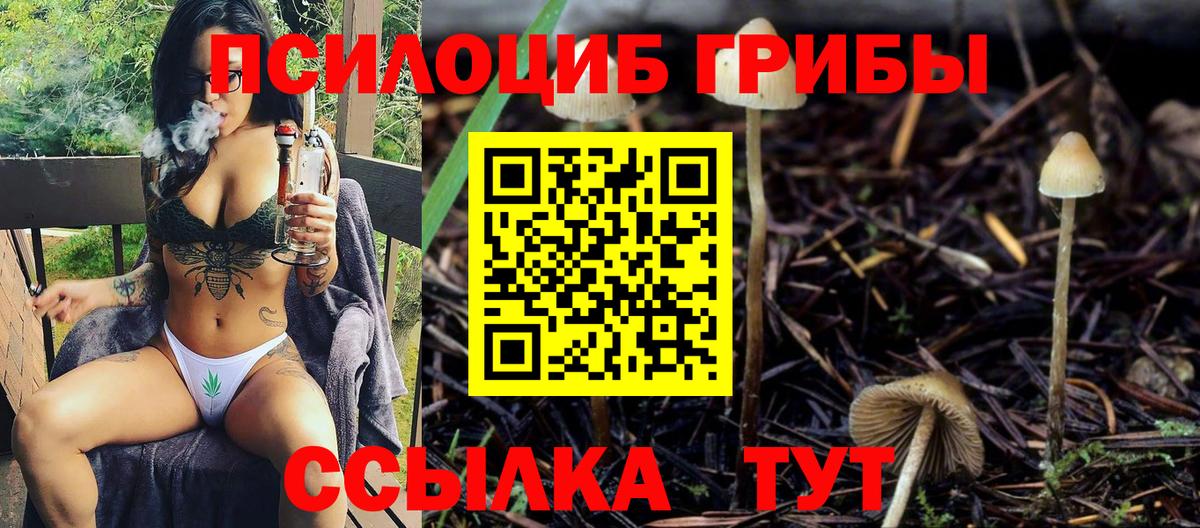 Псилоцибиновые грибы MAGIC MUSHROOMS  Вход с VPN  Саров  Псилоцибиновые грибы прущие грибы 